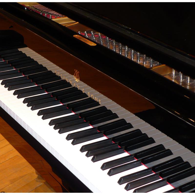 Wedding Pianist - Dennis Elvie
